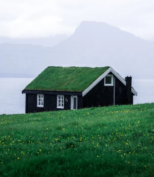 Consigli per rendere la tua casa green